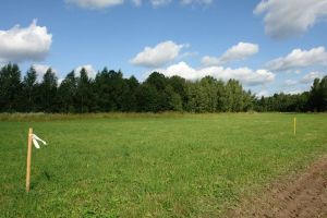 Продам земельный участок, на улице Сенево с, г. Сенево, Тульская обл., Россия, агентство Интернет-партнер
