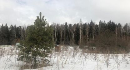 Продам земельный участок, г. Сенево, Тульская обл., Россия, агентство Интернет-партнер. Фотография №1