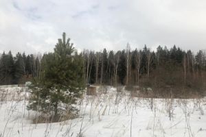 Продам земельный участок, г. Сенево, Тульская обл., Россия, агентство Интернет-партнер