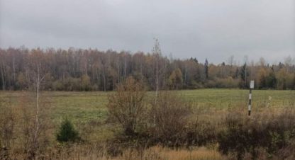 Продам земельный участок, г. Андрейково, Московская обл., Россия, агентство JCat. Фотография №1