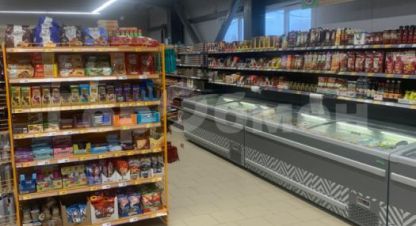 Купить торговое помещение, 523 кв. м., Россия, г. Посёлокского типа рефтинский. Фотография №9