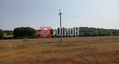 Купить земельный участок в г. Орловка. Фотография №2
