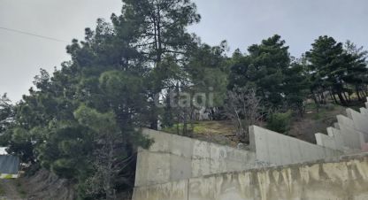 Купить земельный участок в г. Семидворье. Фотография №3