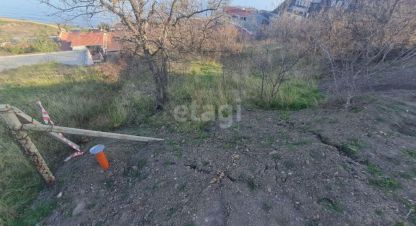 Купить земельный участок в г. Семидворье. Фотография №3