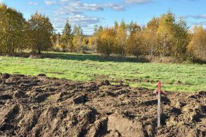 Продам земельный участок, г. Скотное, Ленинградская обл., Россия, агентство JCat