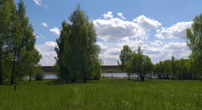 Купить земельный участок в г. Лопатино. Фотография №2