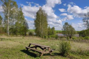 Продам земельный участок, г. Лопатино, Тульская обл., Россия, агентство JCat