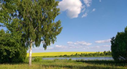 Купить земельный участок в г. Лопатино. Фотография №3