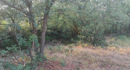 Купить земельный участок г. Наука (д пласкинино). Фотография №4