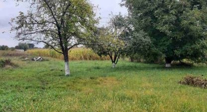 Продаётся дом в г. Березань . Фотография №6