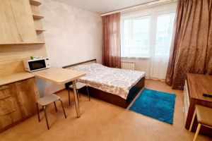 Сдам квартиру с общей площадью 30м2, 7/16 эт., на улице Фабричная ул, г. Южно-Сахалинск, Сахалинская обл., Россия, агентство Интернет-партнер