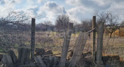 Купить земельный участок, Россия, г. Шелковичное. Фотография №10