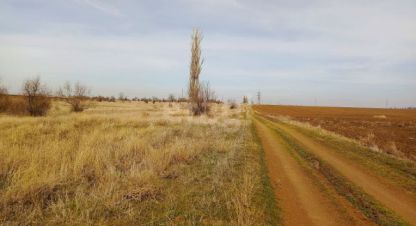 Купить земельный участок в г. Червоное. Фотография №3