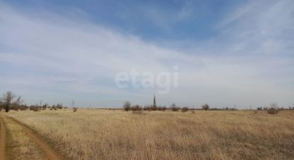 Купить земельный участок на улице Червоное с г. Червоное. Фотография №5