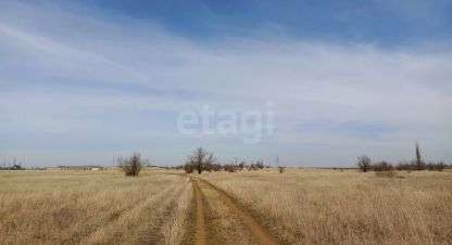 Купить земельный участок в г. Червоное. Фотография №2