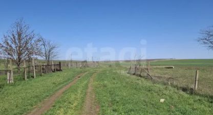 Купить земельный участок в г. Червоное. Фотография №3