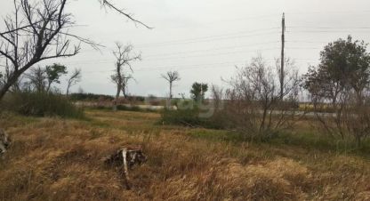Купить земельный участок на улице Червоное с г. Червоное. Фотография №4