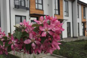 Продам квартиру 3-х комнатную с общей площадью 88м2, 1/2 эт., на улице Посадская, г. Ленино, Липецкая обл., Россия, агентство Альфа