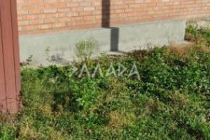 Сдам дом 2-х комнатный с общей площадью 35м2, г. Ростов-на-Дону, Ростовская обл., Россия, агентство Риэлторская компания "Эллада"