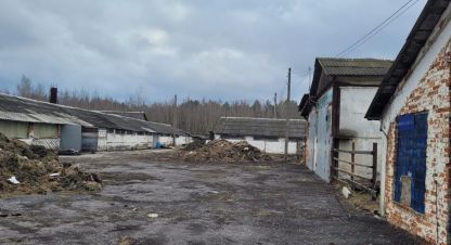 Снять производственно-складское помещение в г. Ушаково. Фотография №2