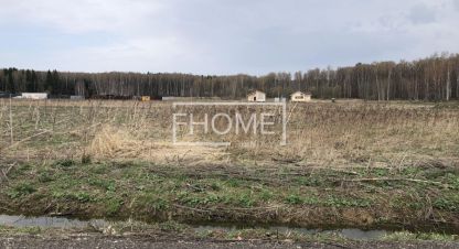 Купить земельный участок на улице 214 г. Кп репино. Фотография №4