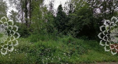 Продам земельный участок, г. Десна д., Москва, Россия, агентство АН Загородный Мир . Фотография №1