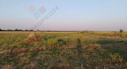 Купить земельный участок в г. Агроном. Фотография №3