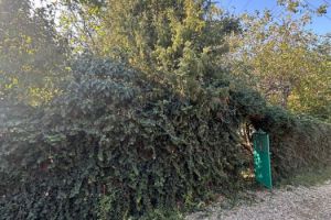 Продам земельный участок, на улице Виноградная, г. Новая адыгея аул, Адыгея респ., Россия, агентство Мореон Инвест