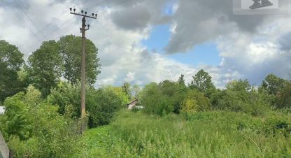 Продаётся земельный участок в г. Лесное. Фотография №6