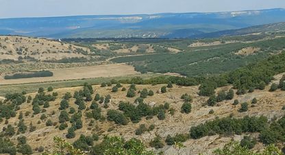 Купить земельный участок в г. Севастополь. Фотография №2