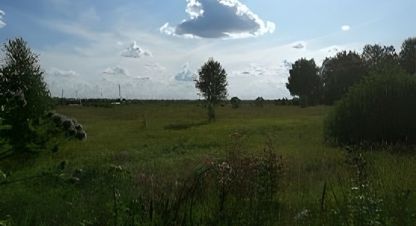 Продам земельный участок, на улице Страхово с, г. Страхово, Тульская обл., Россия, агентство Интернет-партнер. Фотография №1