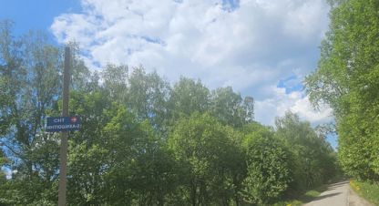 Купить земельный участок в г. Новоселки д.. Фотография №2
