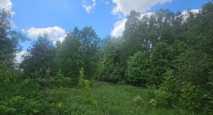 Купить земельный участок, Россия, г. Новоселки д.. Фотография №10