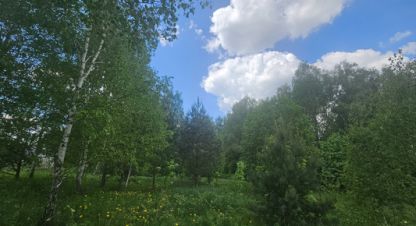 Купить земельный участок, Россия, г. Новоселки д.. Фотография №9