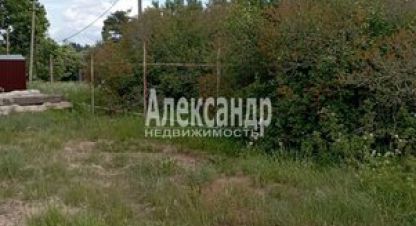 Купить земельный участок в г. Черкасово. Фотография №2