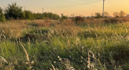 Купить земельный участок в г. Ленино. Фотография №2