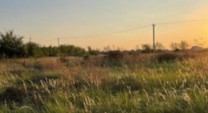 Купить земельный участок в г. Ленино. Фотография №3