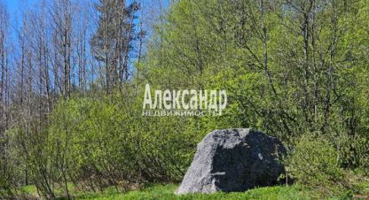 Купить земельный участок на улице П  харвиа тер г. П харвиа. Фотография №4