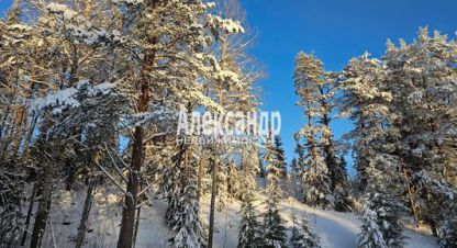 Купить дом в г. Лахденпохья. Фотография №3