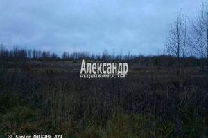 Продам земельный участок, г. Бор, Ленинградская обл., Россия, агентство Интернет-партнер