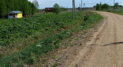 Купить земельный участок, Россия, г. Выльгорт. Фотография №8