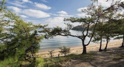 Купить земельный участок на улице Местность камыши г. Иркутская, ольхонский. Фотография №4