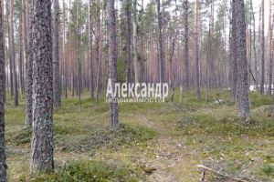 Продам земельный участок, на улице Пмк, г. Приветная, Омская обл., Россия, агентство Интернет-партнер
