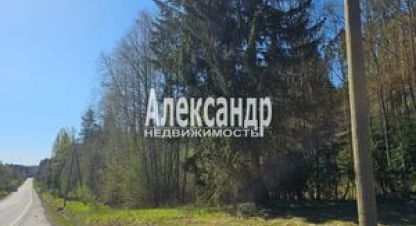 Купить земельный участок, Россия, г. Лахденпохья. Фотография №9