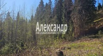 Купить земельный участок, Россия, г. Лахденпохья. Фотография №8