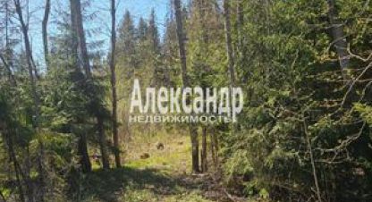 Купить земельный участок на улице Суворова г. Лахденпохья. Фотография №4