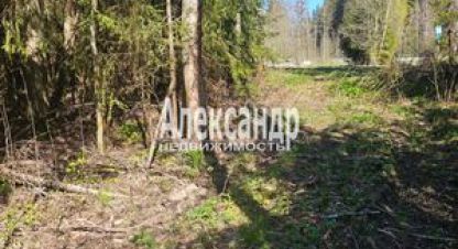 Купить земельный участок в г. Лахденпохья. Фотография №3