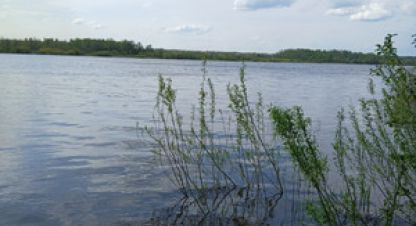 Продаётся земельный участок в г. Кирилловка. Фотография №6