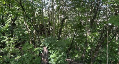 Купить земельный участок на улице Большая горская г. Красное село. Фотография №5