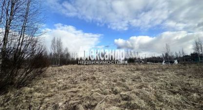 Купить земельный участок в г. Черемуха. Фотография №3
